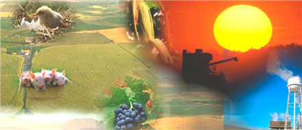 Agriculture Agriculture